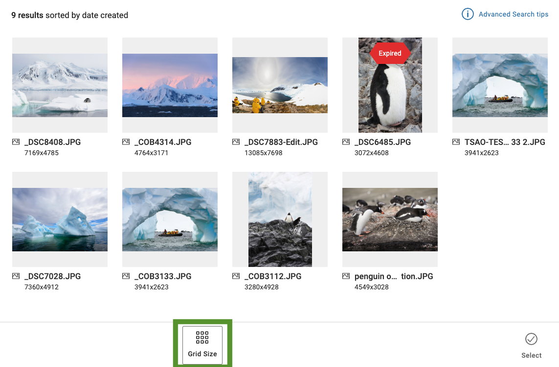 Screen_Shot_2022-11-18_at_1.50.05_PM.png