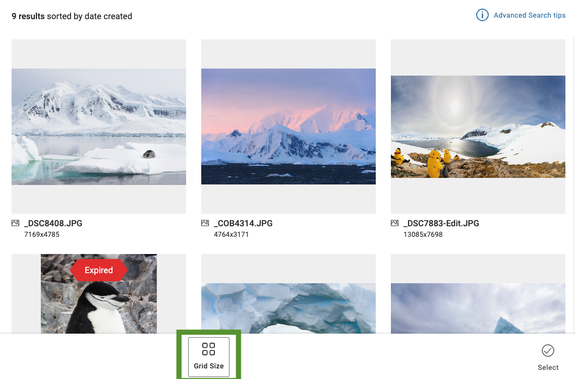 Screen_Shot_2022-11-18_at_1.49.55_PM.png