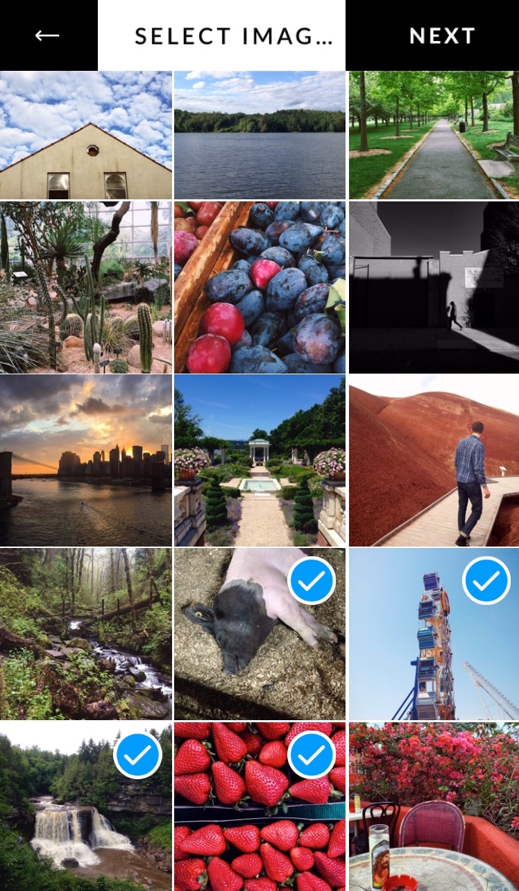 select_images.jpeg