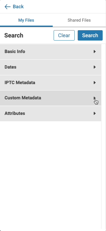custommetadatasearch.gif
