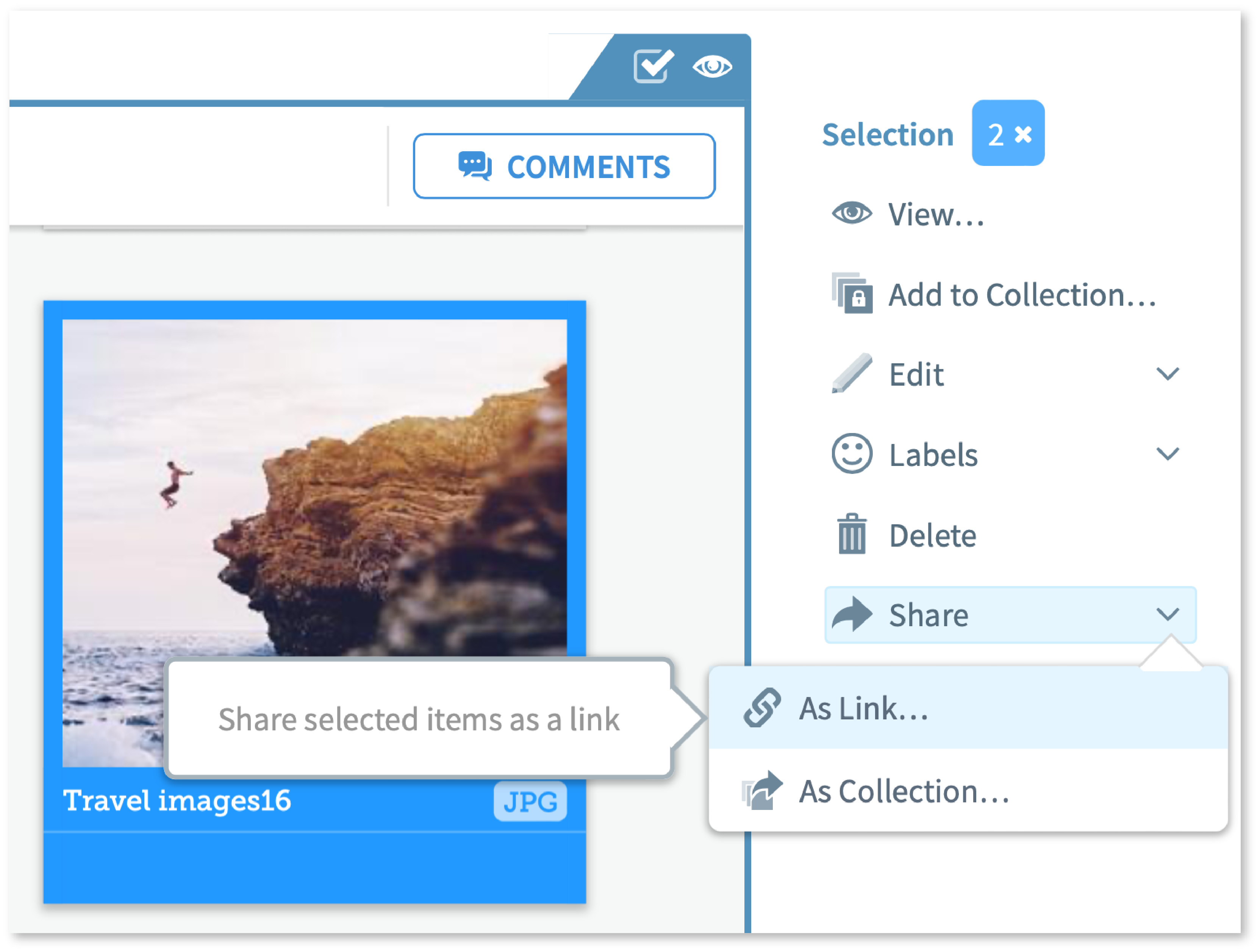 Feature Comparison - TL Share as Link.png