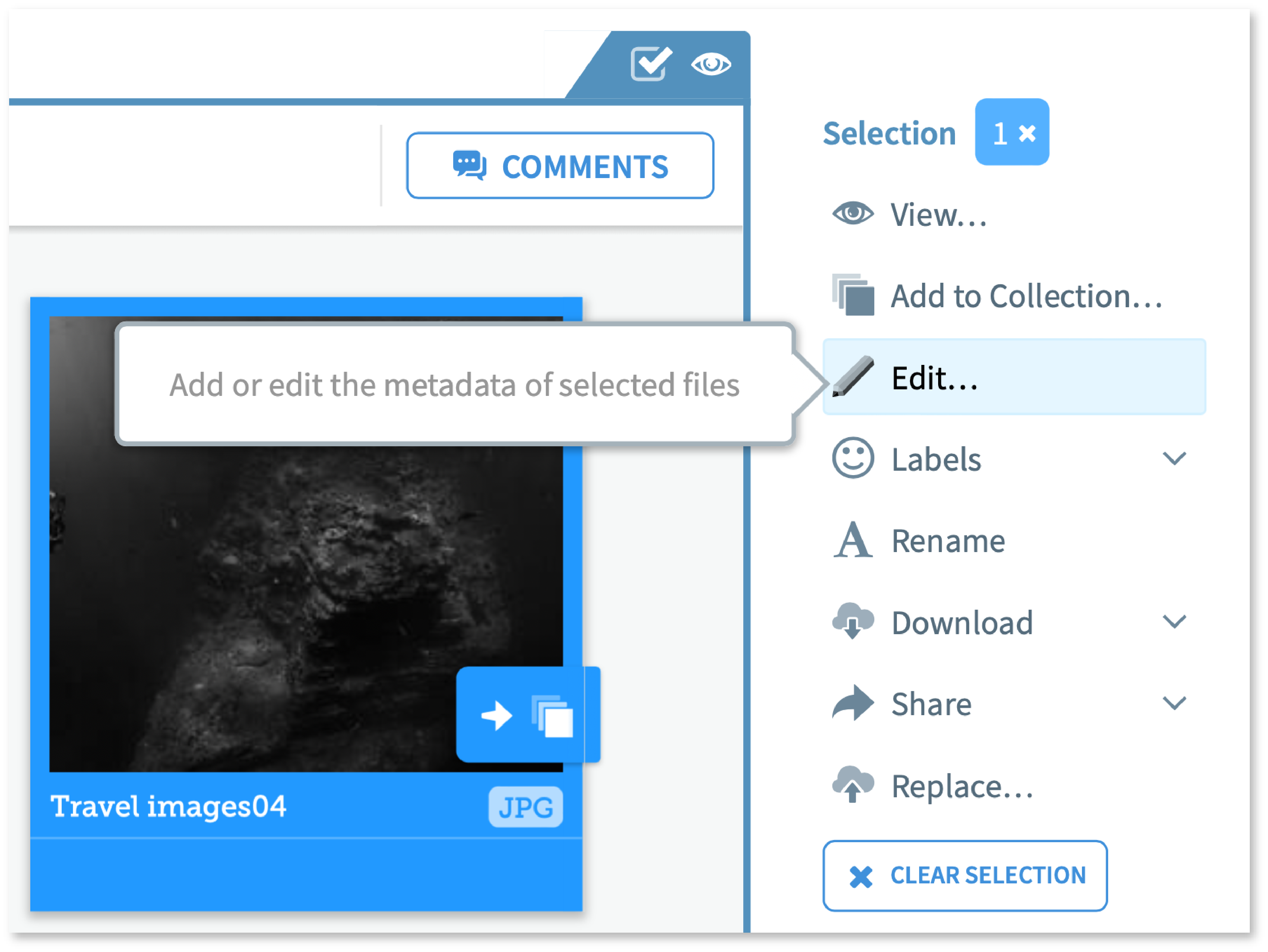 Feature Comparison - TL Edit metadata.png