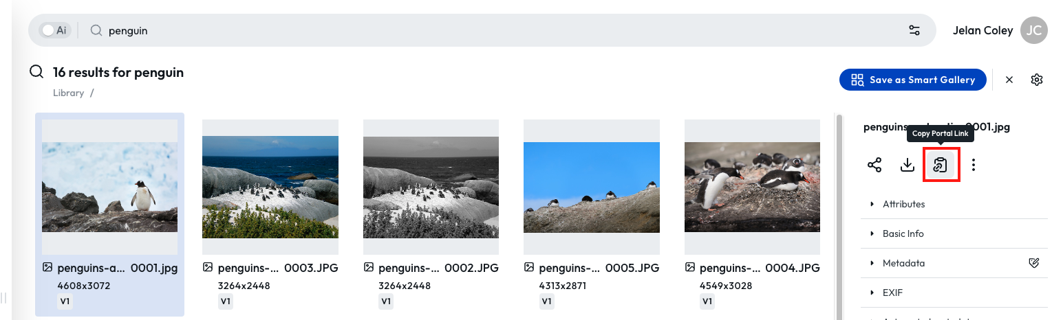 Screenshot 2024-06-13 at 12.06.56 PM.png