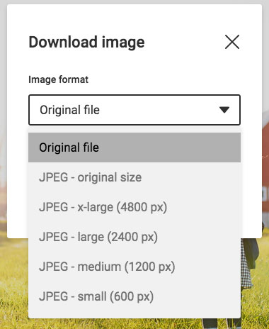 download-format-picker.jpg