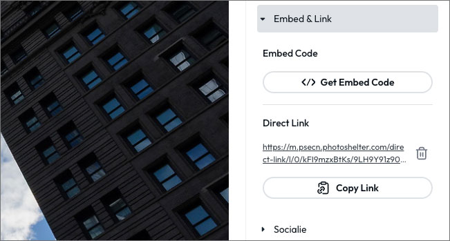 direct-link.jpg