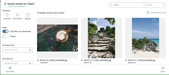 search-the-portal-single-file-download.gif