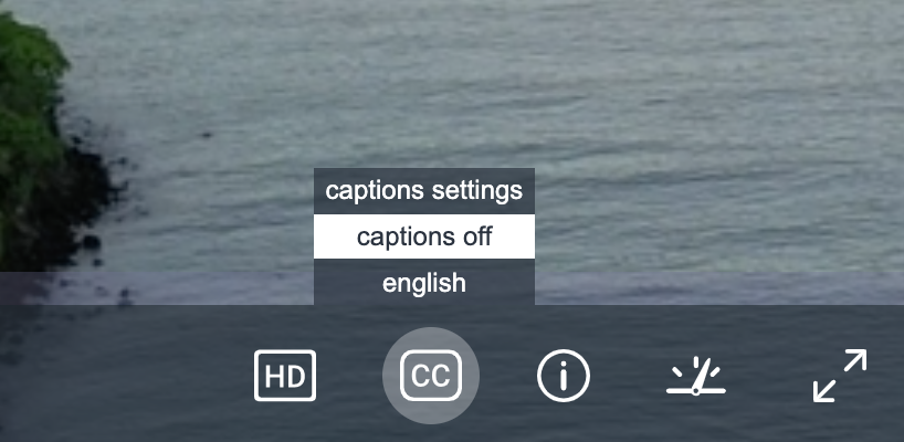 captions.png