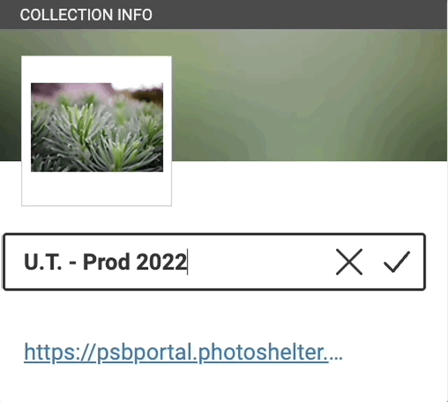 editcollectionname.gif
